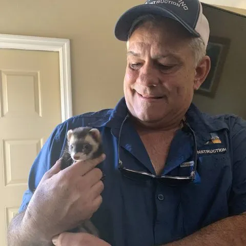 A client's ferret, well supervised