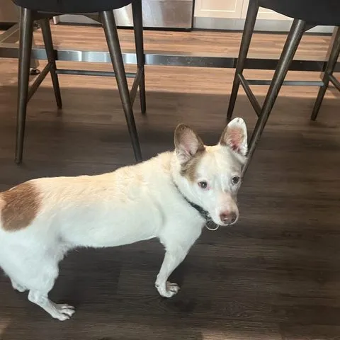The client's foreman, off duty