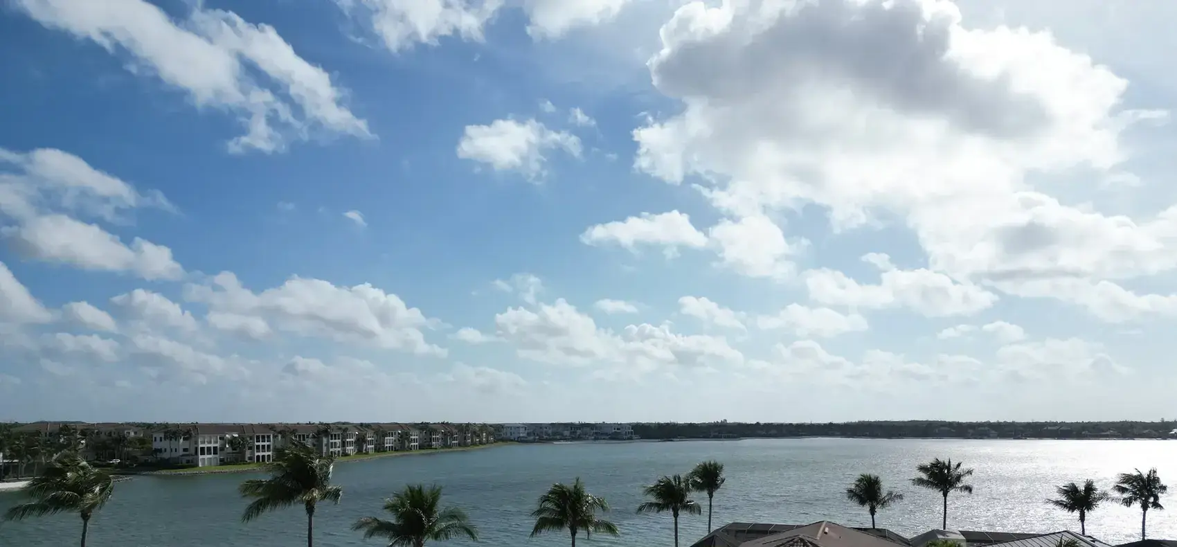 Palms and open water along a Cape Coral canal