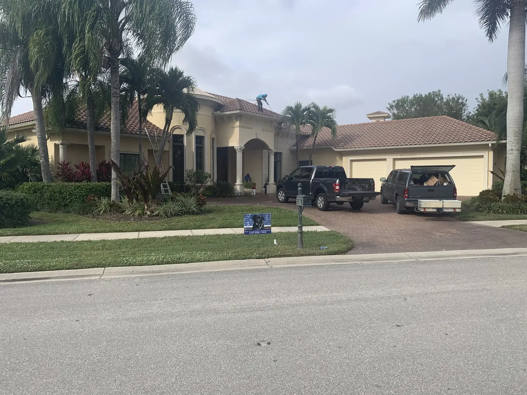 Punta Gorda home with a new tile roof and royal palms